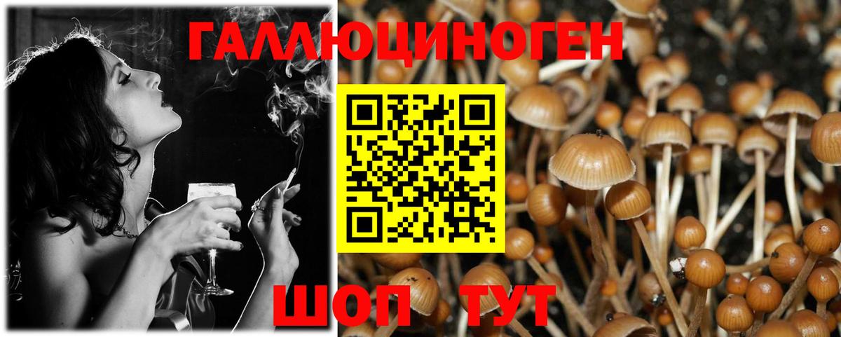 Химки  Галлюциногенные грибы MAGIC MUSHROOMS  Вход с VPN 